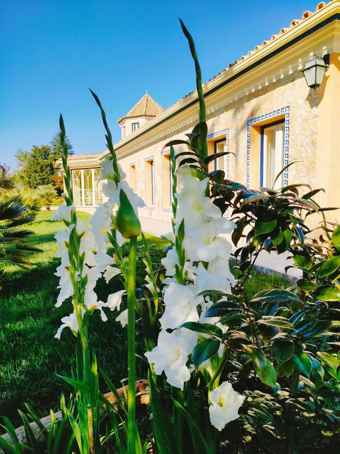 Quinta Do Bamby Villa Leiria Esterno foto